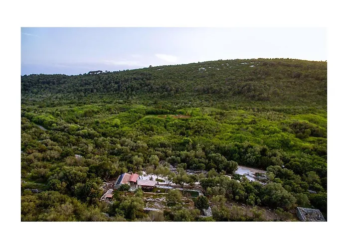 Holiday home Cozy In With House Sea View *